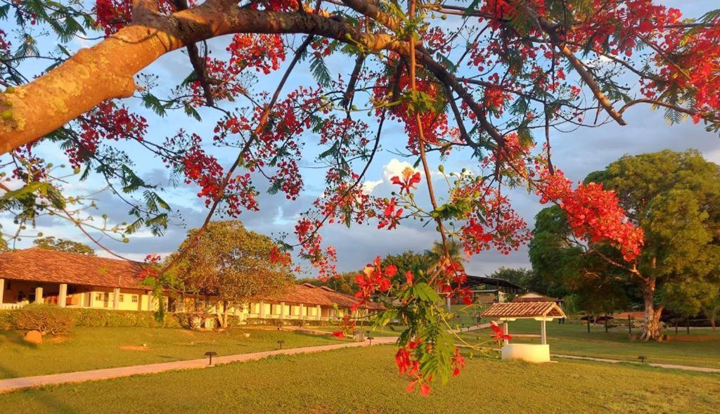 Sertao Veredas Hotel Fazenda Paraopeba Extérieur photo